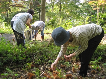 実見10月.jpg