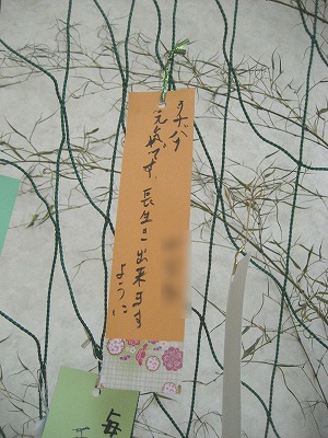 kinosato-tanabata06.jpg